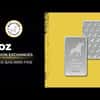 5 oz Bullion Exchanges Silver Bar  .9999 Fine