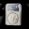 2024 (P) Star Privy 1 oz Silver American Eagle NGC GEM Unc One of First 50K (Era 8)