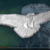 2020 1 oz Silver Red-Tailed Hawk Solomon Islands Silver Coin