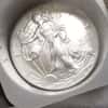 1 oz Silver American Eagle BU Random Year Coins 