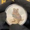 2021 1 oz Proof Colorized Silver Australian Quokka Perth Mint by Bullion Exchanges