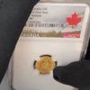 2022 Canada 1/10 oz Gold The Majestic Polar Bear Coin
