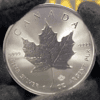 2022 Silver Maple Leaf Coin