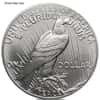 US Mint Modern Morgan/Peace Silver Dollar .999 Fine Scruffy (Random Year)