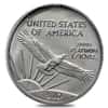 2007 Platinum American Eagle (Statue of Liberty) - 4 coin year set  