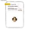 1/10 oz $5 Proof Gold American Eagle NGC/PCGS PF 70 (Random Year)