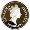 1/2 oz Proof Platinum Australian Koala Perth Mint (Random Year)