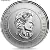 1/4 oz Silver Coin Random Mint .999+ Fine BU/Proof