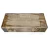 100 oz Bache Silver Bar .999 Fine