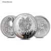10 oz Silver Coin Random Mint (Milky, Scruffy, Toned)