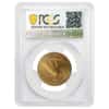 1909 S $10 Indian Head Gold Eagle Coin PCGS UNC Detail