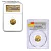 1/10 oz Chinese Gold Panda NGC / PCGS MS / PF 70 (Random Year)
