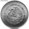 1/10 oz Mexican Silver Libertad Coin Cull (Random Year)
