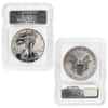 2006 W / P Silver American Eagle 3-Coin Set ICG MS / PF 70 FDOI (20th Anniversary)