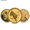 1/20 oz Gold Coin Random Mint .999+ Fine (Scruffy)