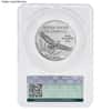 1 oz $100 Platinum American Eagle CAC MS 70 (Random Year)
