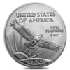 2006 Platinum American Eagle (Statue of Liberty) - 4 coin year set  