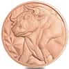 Tube of 20 - 1 oz Bull & Bear Copper Round .999 Fine