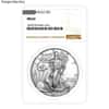 1 oz Burnished Silver American Eagle NGC/PCGS MS/SP 69 (Random Year)