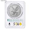 1 oz Burnished Silver American Eagle NGC/PCGS MS/SP 69 (Random Year)
