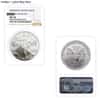 1 oz Burnished Silver American Eagle NGC/PCGS MS/SP 70 (Random Year)