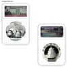 1 oz Chinese Silver Panda NGC / PCGS MS 70 (Random Year)