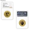1 oz Gold Coin Random Mint .999+ Fine NGC/PCGS MS/PF 70