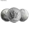 1 oz Palladium Coin Random Mint .9995 Fine (Scruffy)