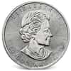 1 oz Platinum Canadian Maple Leaf Coin Scruffy (Random Year)