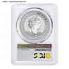 1 oz Australian Silver Kangaroo NGC/PCGS MS 70 (Random Year)