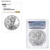 1 oz Burnished Silver American Eagle NGC/PCGS MS/SP 69 (Random Year)