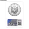 1 oz Burnished Silver American Eagle NGC/PCGS MS/SP 69 (Random Year)