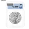 1 oz Silver American Eagle ICG MS 69 (Random Year)