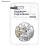 1 oz Silver Coin Random Mint NGC/PCGS MS/SP/PF 70 (Random Design/Year)