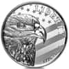 1 oz Sunshine Mint American Eagle 250th Anniversary Silver Round .999 Fine