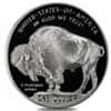 2001-P Proof Silver American Buffalo $1 Coin Commemorative