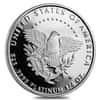 2005 W 1/4 oz $25 Platinum American Eagle Proof Coin (w/Box & COA)
