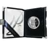 2005 W 1 oz $100 Platinum American Eagle Proof Coin (w/Box & COA)