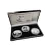 2006 W/P 1 oz Silver American Eagle 3-Coin Set - 20th Anniversary (w/Box & COA)