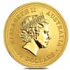 2007 1/2 oz Gold Lunar Year of the Pig Bu Australia Perth Mint In Cap (Series I)