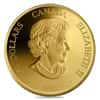2007 Canada Lunar Pig Hologram Gold Coin (w/Box & COA)