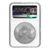2009 1 oz Silver American Eagle NGC MS 69 Mint Error (Rev Struck Thru)