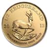 2013 1/2 oz South African Krugerrand Gold Coin