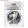 2013-W 1 oz Enhanced Silver American Eagle NGC/PCGS MS/SP 69