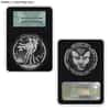 2013-W 1 oz Enhanced Silver American Eagle NGC/PCGS MS/SP 69