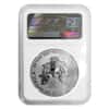 2013 W 1 oz Silver American Eagle 2-Coin Set NGC PF 69 / SP 69