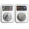 2013 W 1 oz Silver American Eagle 2-Coin Set NGC PF 69 / SP 69