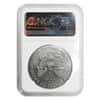 2013 W 1 oz Silver American Eagle 2-Coin Set NGC PF 69 / SP 69