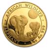 2014 1 oz Somalian Gold African Elephant Coin