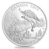 2014 Canada 1 oz Majestic Bald Eagle Silver Coin